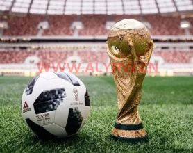 世界杯专题合集（1930-2022）——跟踪更新