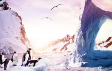 [阿里云盘]南极3D：在边缘4K REMUX (2014)【纪录片】