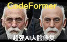 [阿里云盘]CodeFormer——人脸修复去马赛克AI神器[免费在线观看][免费下载][夸克网盘][电脑软件]