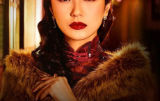 最后的夫人 Last Madame (2019)【全12集】[免费在线观看][免费下载][网盘资源][欧美影视]