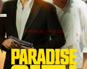 《天堂城》Paradise City-20221111上映-动作-美国-布鲁斯威利斯 2022最新动作电影·